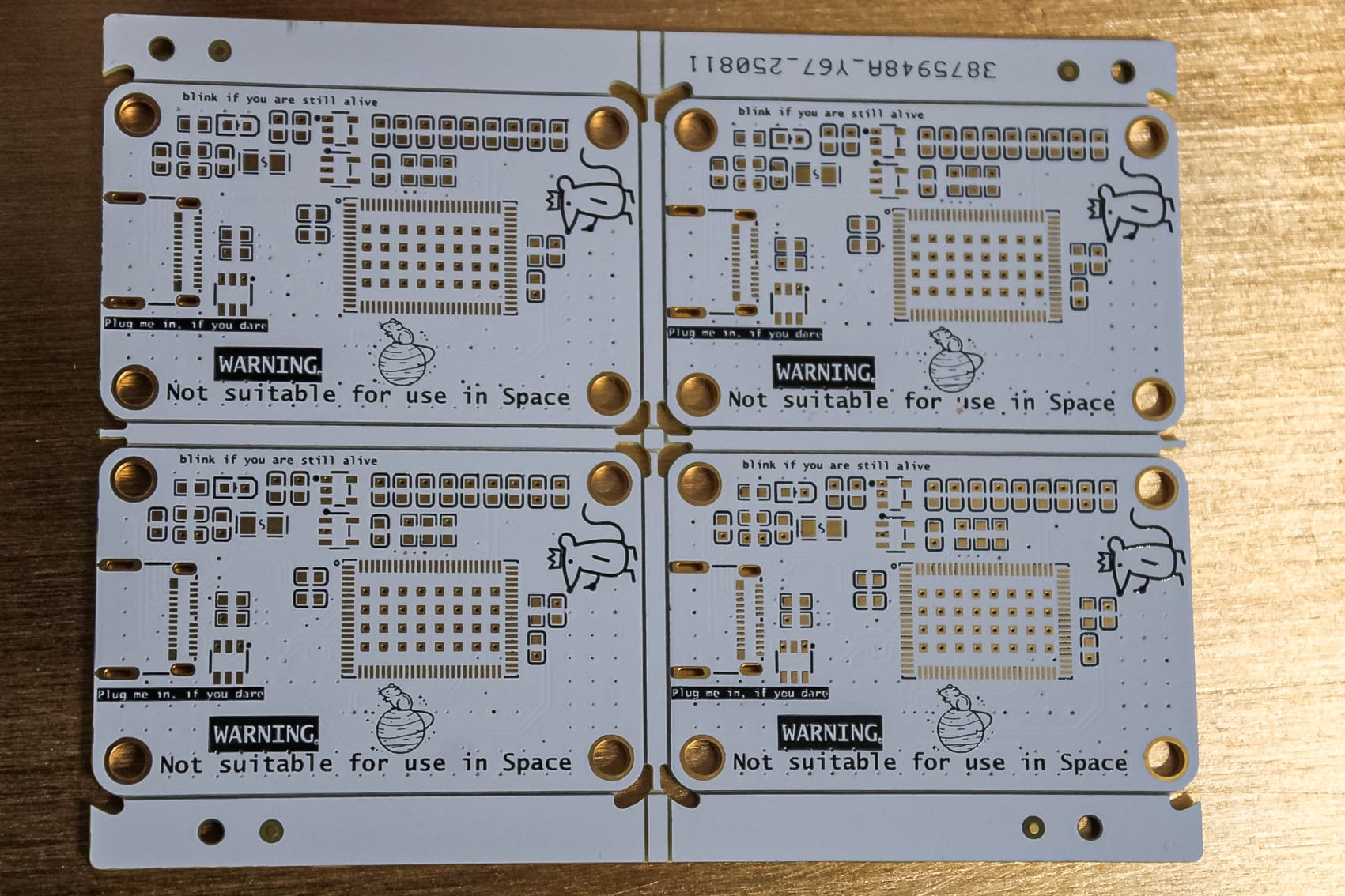 Coral PCB panel closeup