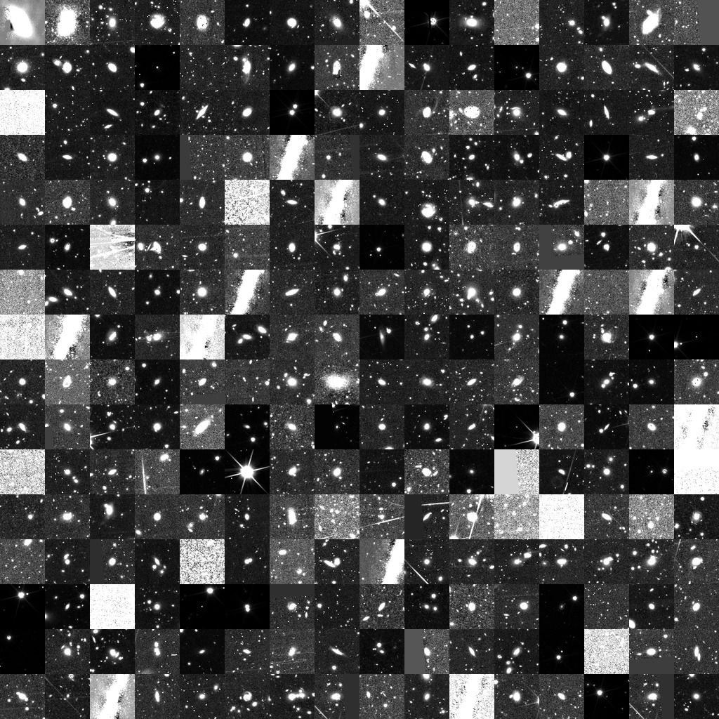 Coral telescope cutout samples